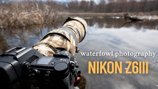 Nikon Z6III for Waterfowl Photography | Setting Up and Features I Use