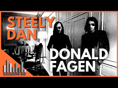 Donald Fagen musician photo