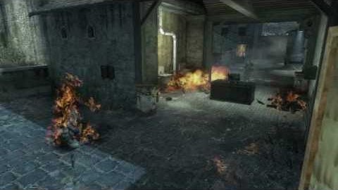 Call of Duty: Black Ops - Flamethrower Multi Kill