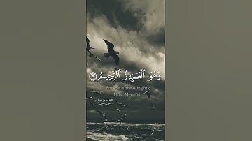 تلاوة خاشعة ومؤثرة بصوت جذاب ومؤثر #القرآن_الكريم #تلاوة_خاشعة #تلاوة_مؤثرة #اكسبلور #دويتو