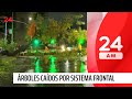 Sistema frontal: árboles caídos en distintos puntos de la capital | 24 Horas TVN Chile