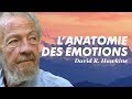 Lanatomie des motions  david r hawkins