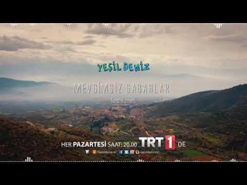 Mevsimsiz Sabahlar( yeşil deniz) 1 saatlik versiyon