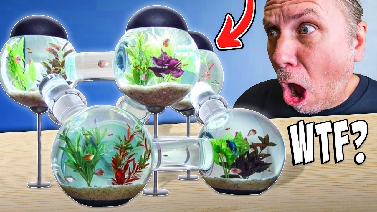 Check Out These Awesome Aquariums For Legesea Aquarium! - YouTube