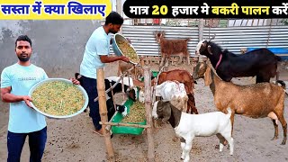 कम खर्च में बकरी पालन कैसे करें | small goat shed design | bamboo goat farm shed