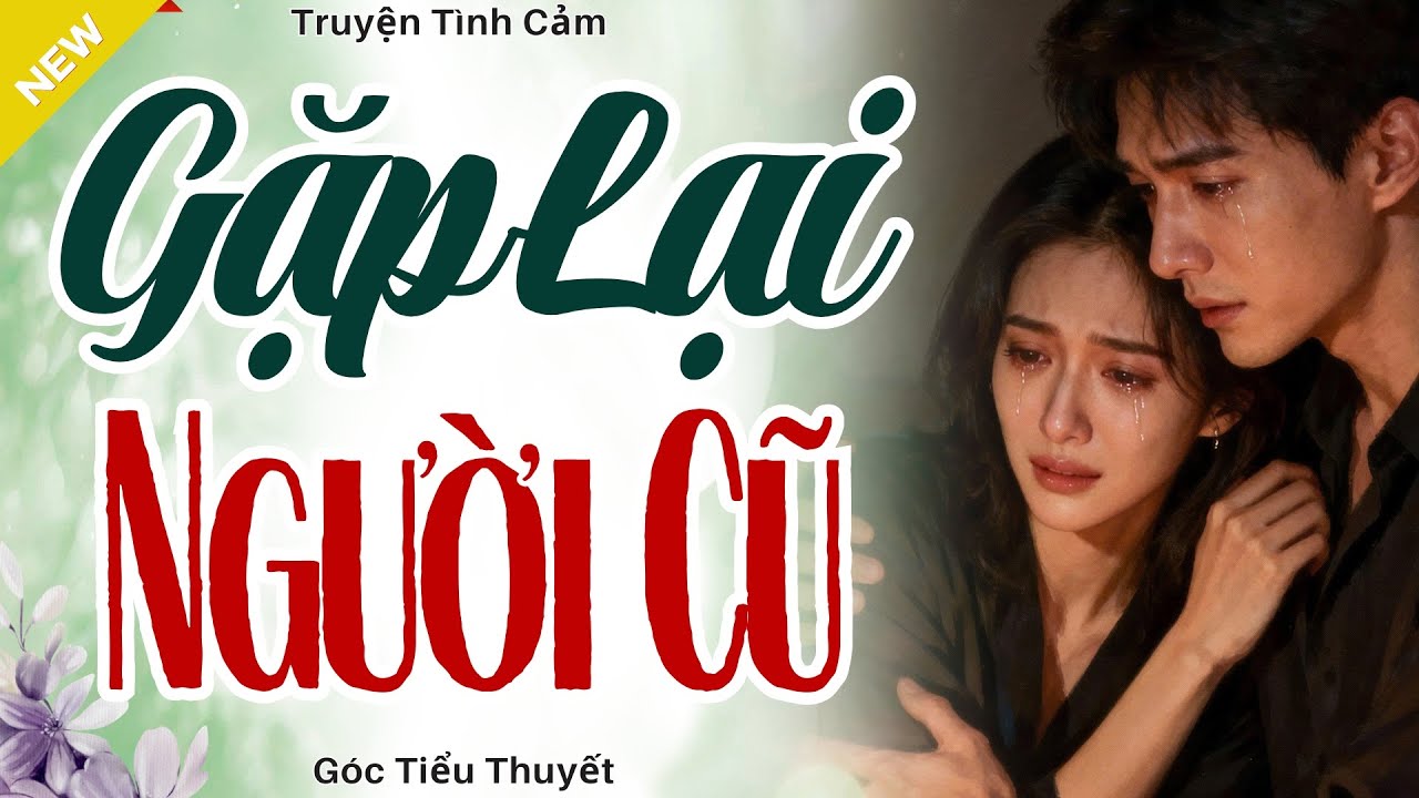 Càng Nghe Càng Hay - GẶP LẠI NGƯỜI CŨ - Truyện Hôn Nhân Hay Nhất 2025