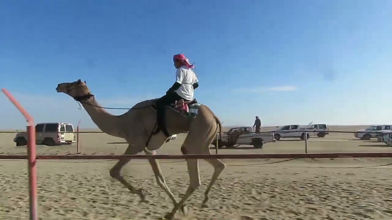 عزالجيش. جابر سليم الجهني