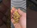 The Gold Map Hidden in a River