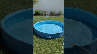Easy summer fun at home 💦🐶