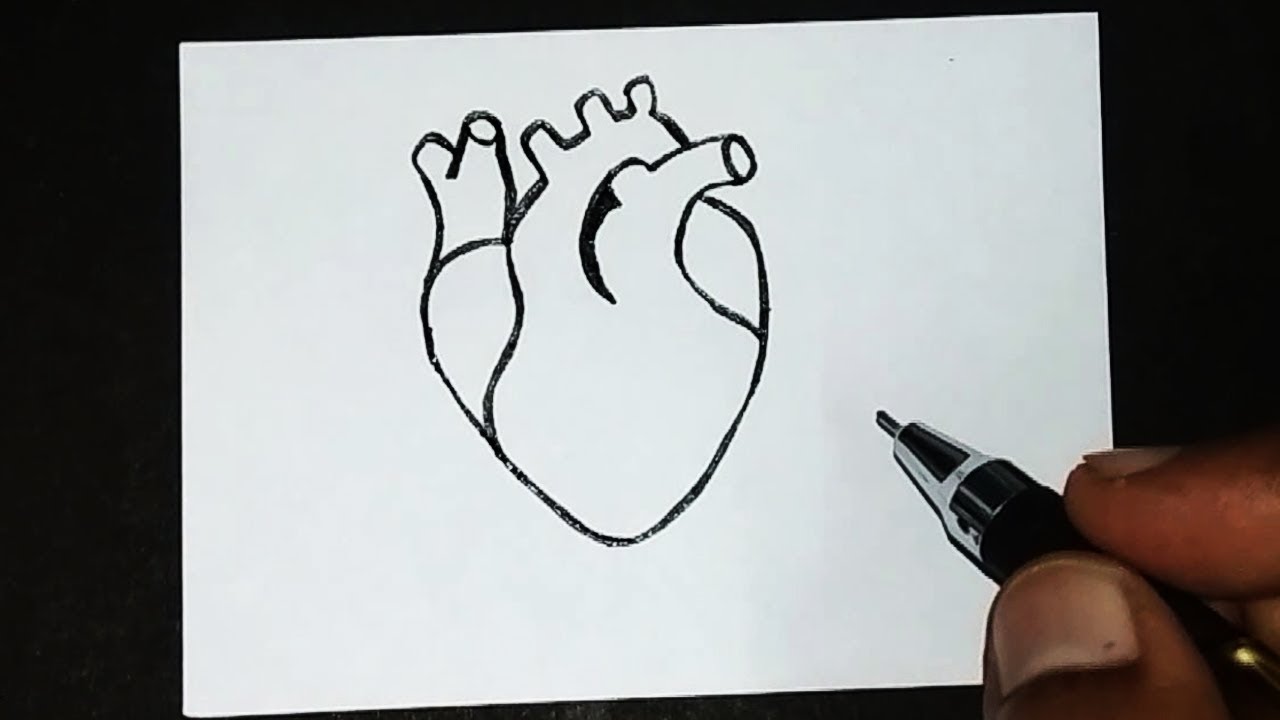 Heart drawing for kids