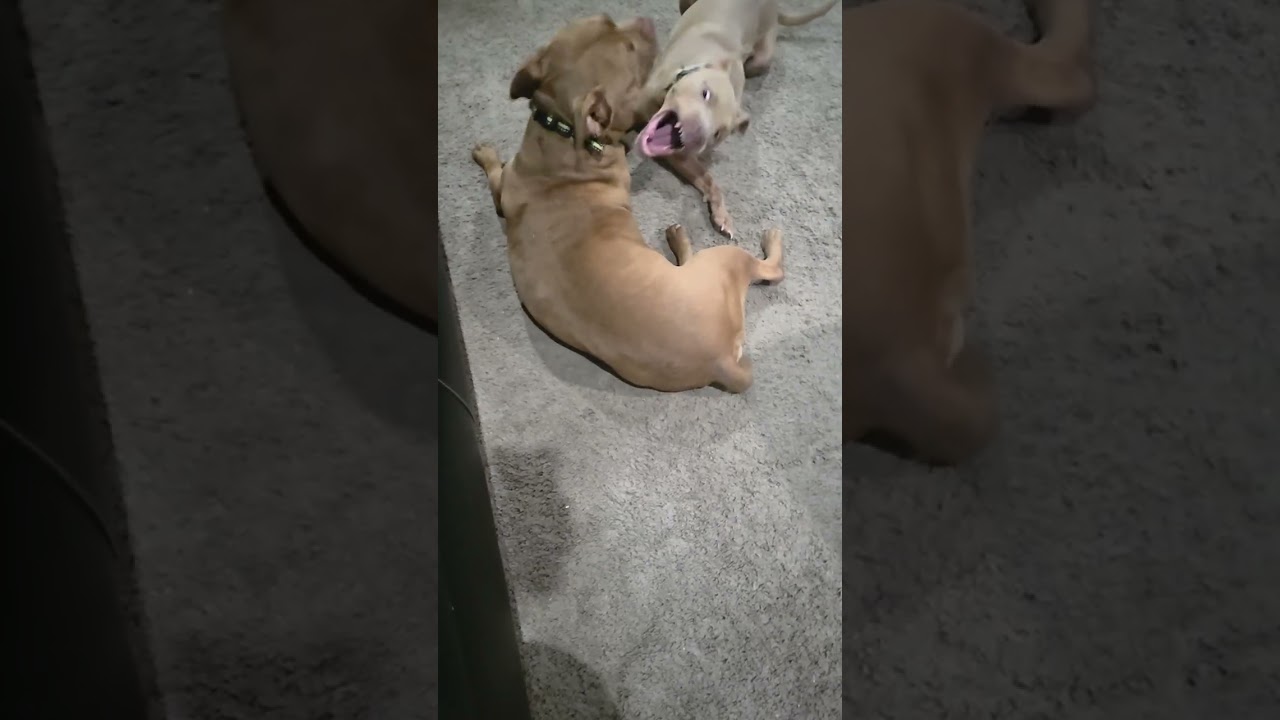 Who knows 🤷🏾‍♀️🤷🏾‍♀️ 