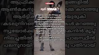 Bhoomi #vedan #lyrics #shortfeed #shortvideo #malayalam #trendingshorts #trending #raplyrics #rap