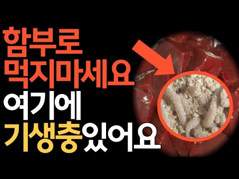 절대 함부로 먹지 마세요. 여기에 기생충 있습니다.