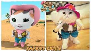 Sheriff Callies Wild West In Real Life 2019