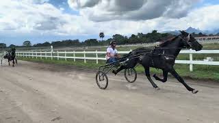 1º Cobalt 2.11.90; 2º Meia Noite 2.13.23; 3º Azara 2.20.15