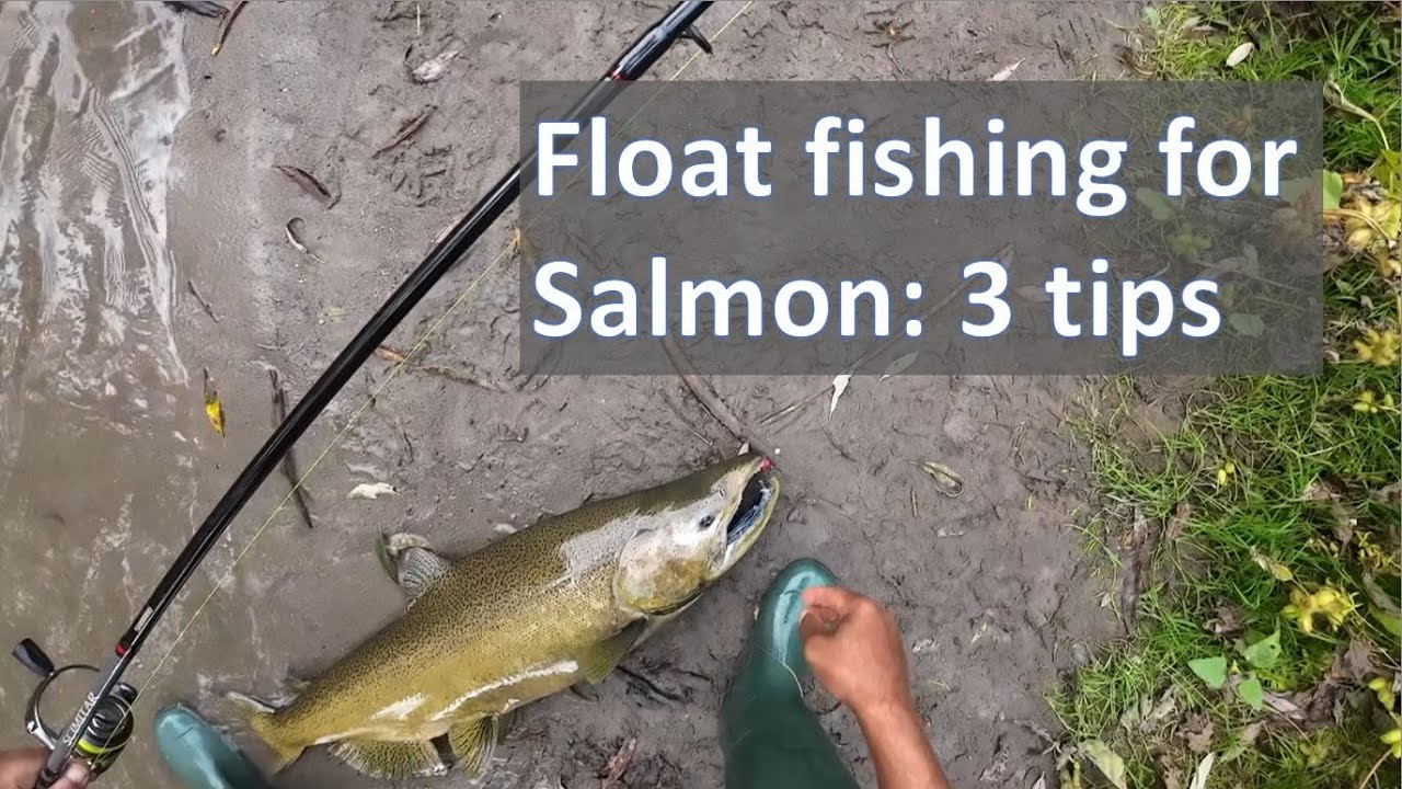 Salmon float fishing — three tips, two fish, and one that would not stop jumping