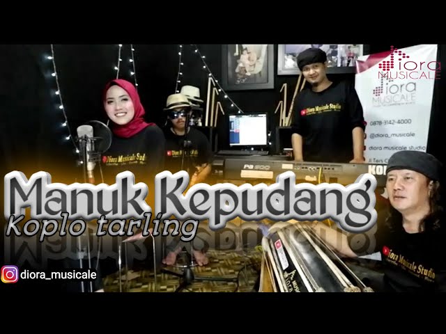 Manuk Kepudang (Cover) Koplo tarling || Diora Musicale || class=