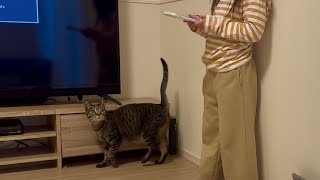 スマホに夢中な6歳の娘を見て寂しい猫がまさかの行動に