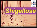 Dysenterie bactérienne: Shigellose Mp3 Song