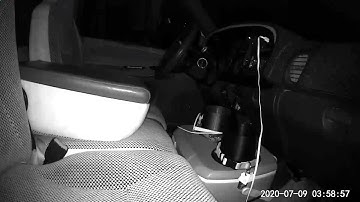 Motion Sensor False Alarm...nope!