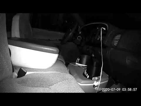 Motion Sensor False Alarm...nope!