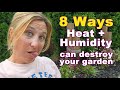 8 Ways Heat &amp; Humidity Can Destroy Your Garden | Pests, Disease &amp; Garden Struggles