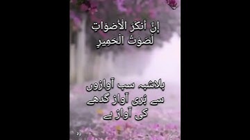 سورة لقمان 19