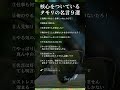 核心を突いているタモリの名言９選 #shorts #名言 #自己肯定感 #自己啓発