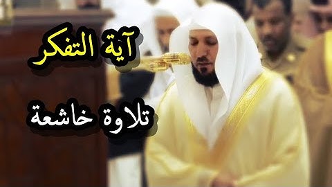 آية التفكر تلاوة بترتيل خاشع ومؤثر للشيخ ماهر المعيقلي من سورة آل عمران