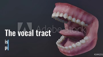 Source-filter theory