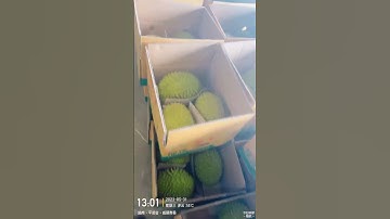 QUY TRÌNH ĐÓNG THÙNG