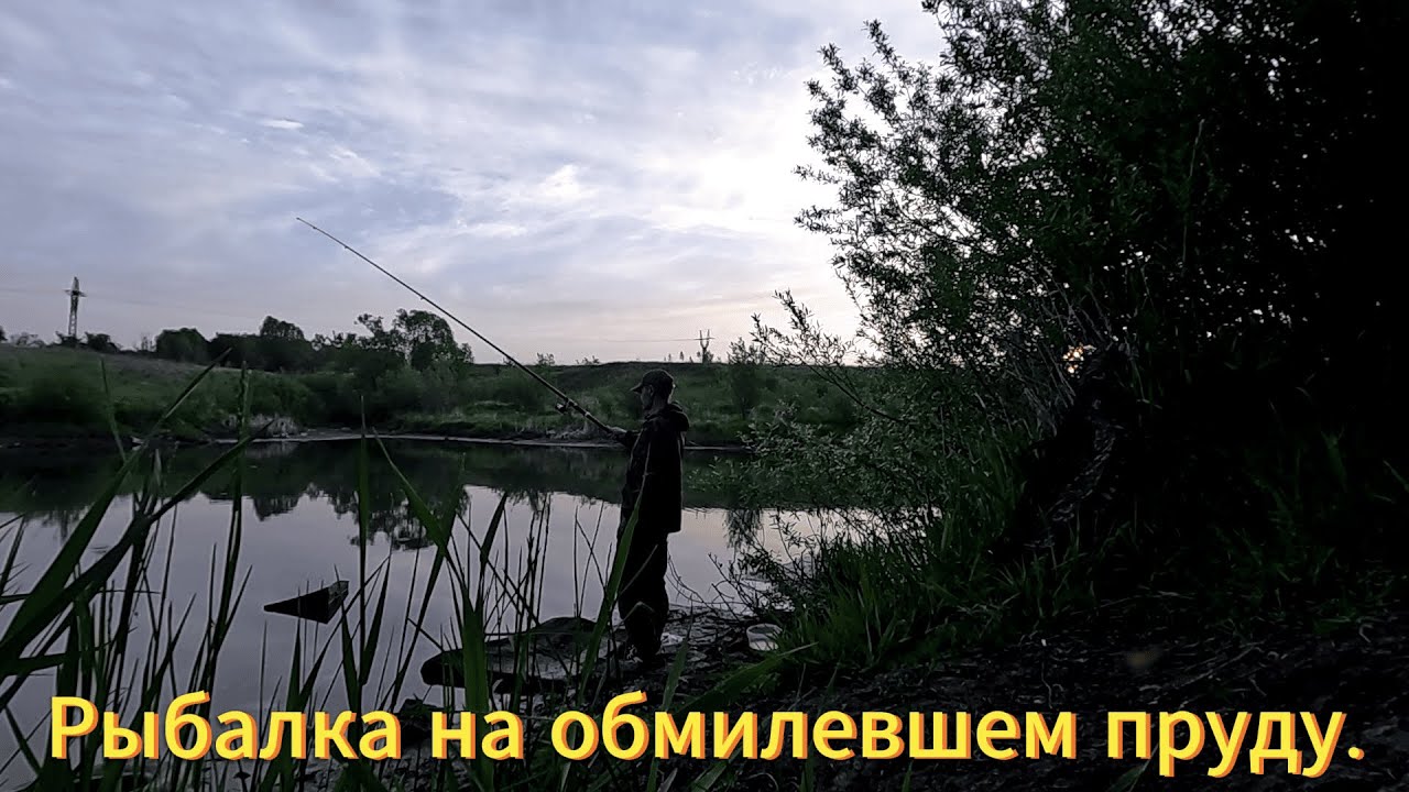 Рыбалка на обмелевшем пруду