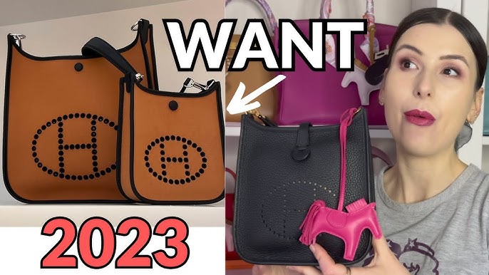 HERMÈS EVELYNE TPM VS. PM  Mini Review, What Fits & Outfit Inspiration  (Feat. LXR) 