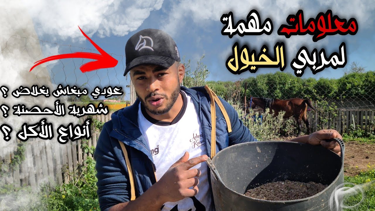 #الحلقة1:كم تكلفة الشهرية للحصان؟ أهم أعلاف الأحصنة؟ كمية و طريقة علف الأحصنة؟ إجابة على أهم الأسئلة