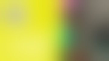 Robotics - Intra-operative planning with the IIT