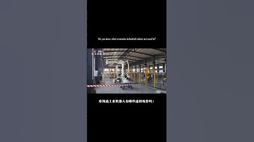 Shandong Kewei palletizing robot Co., LTD#factory #robotic #industrialrobot #machinery