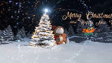 Christmas Snowman Opener AEX30