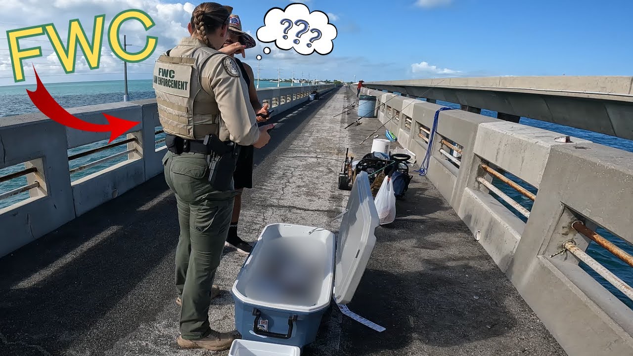 FWC said WHAT?? #fishing #gamewarden