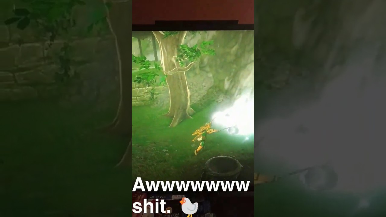 Zelda: Breath of the Wild "Attack of the Cuccos"