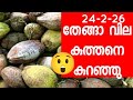 Green coconut rate today. ഇന്നത്തെ പച്ച തേങ്ങ വില 24-2-26.kerala. Malayalam