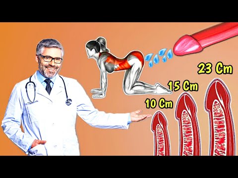 Animale Male Enhancement Gummies Bienfaits Ingrdients Et Avis Sincres A Vaut Le Coup