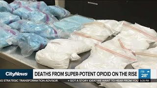 Carfentanil deaths on the rise: medical officials