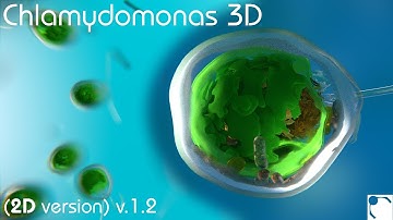 Chlamydomonas 3D - From Biological Cells to Biofuels (2D) [version 1.2 ]