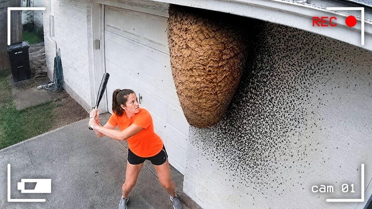 50 Times Things Took a Turn for the Worse | Instant Regret