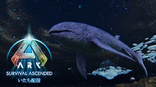 【ASA：PC】なんか来たらしいし・・・・配信予定ではなかったけど(˘ω˘)垂れ流し