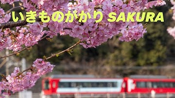 いきものがかり  SAKURA (歌詞入り)