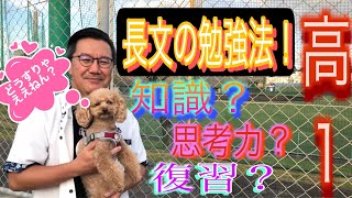 【生徒向け】英語長文問題の解き方について、高１生徒から質問があったので答えました。