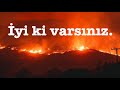 Türkiye “Sabotaj” yangınları ile savaşırken Hangi ülke, ne yardımında bulundu ? Azerbaycan, Ukrayna