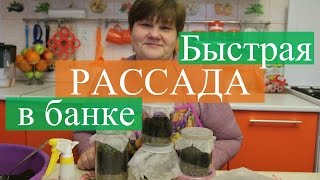 Рассада в банке. Новый способ, быстрые всходы.(19.03.16)(И снова экспериментируем. На этот раз сеем рассаду землянки, петунии в стеклянную банку. Этим способом..., 2016-03-21T08:23:43.000Z)