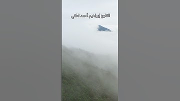 هدووووء وراحة نفسية ـ سورة يس